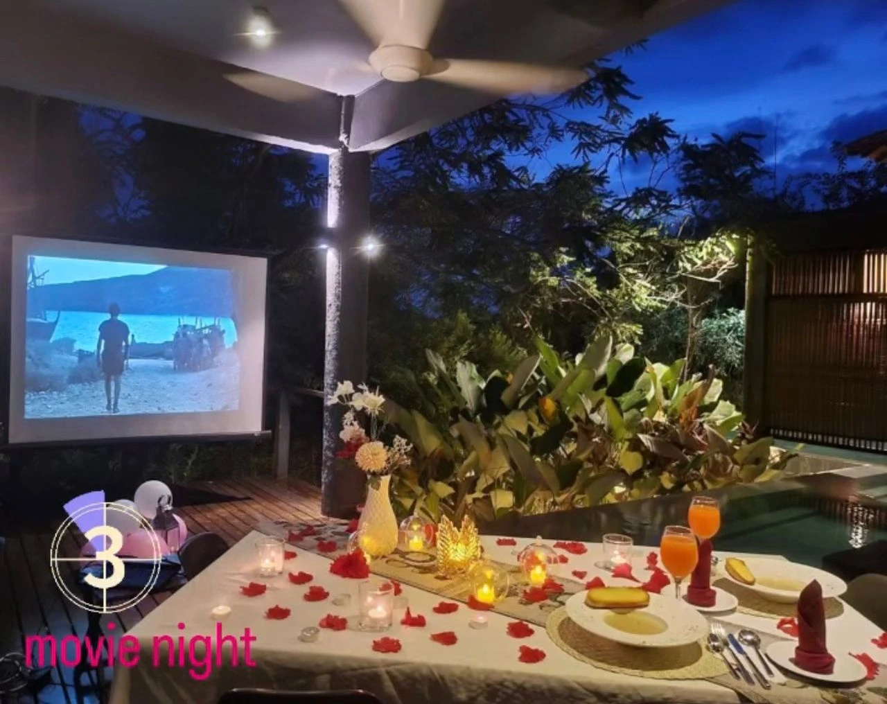 Movie Under The Stars