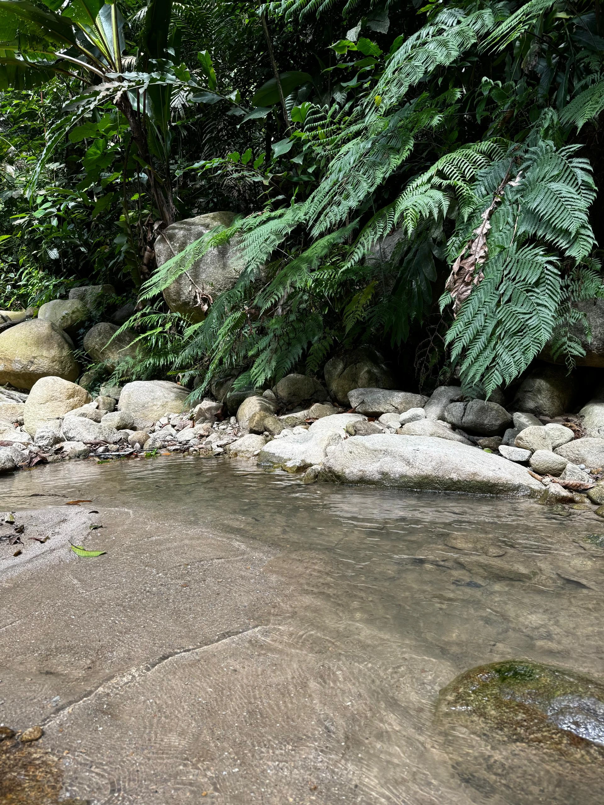 River Retreat & Waterfall